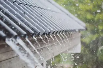 Roof Mold Inspection